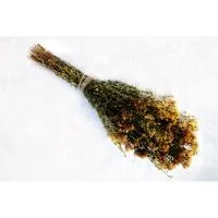 пучок зверобоя "mr.venikoff"