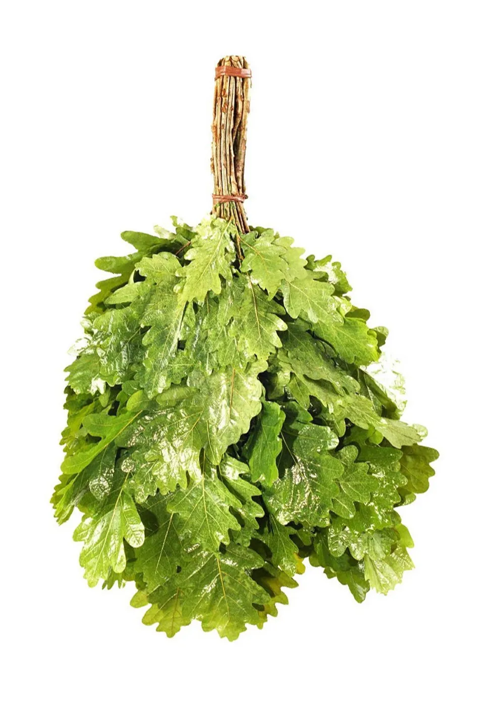 Дубовые венеки